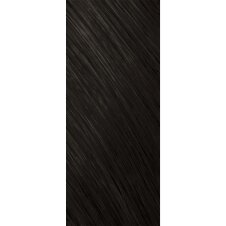 Goldwell Topchic Depot The Naturals Haarfarbe 2N schwarz 250ml