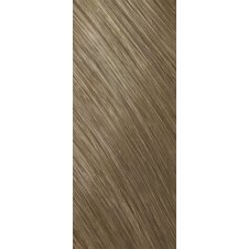 Goldwell Topchic Depot The Naturals Haarfarbe 8NA hell-natur-aschblond 250ml