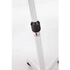 XanitaliaPro Vapor Cromo Therapy 100 professioneller Verdampfer mit Lonisator und Farbtherapie für das Gesicht