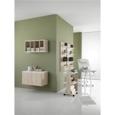 XanitaliaPro Volo Natural Hängender Serviceschrank Lärche Natur und Laminat Weiß